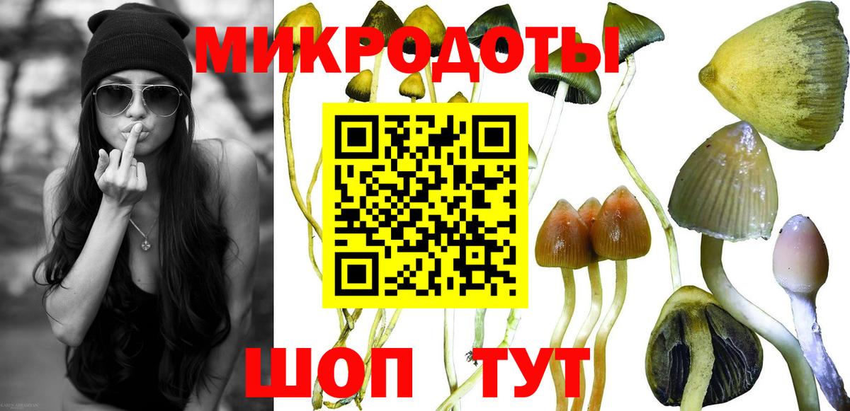 Галлюциногенные грибы MAGIC MUSHROOMS Великий Устюг