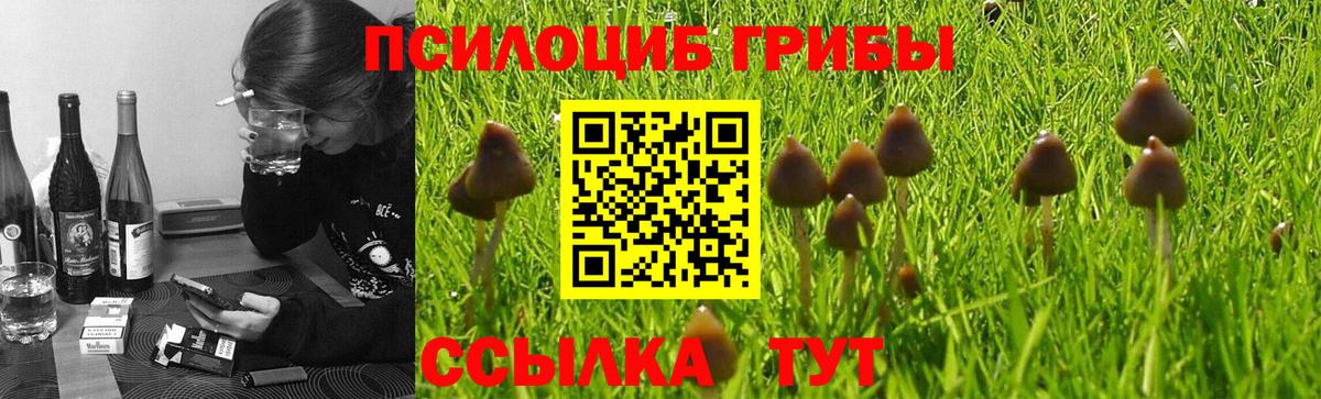 Великий Устюг  наркота  Галлюциногенные грибы Magic Shrooms  Вход с VPN  Галлюциногенные грибы прущие грибы 